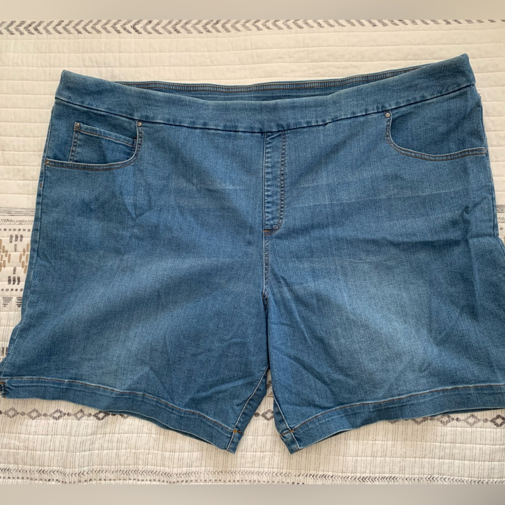 Terra & Sky Denim Jeans - Size 4X